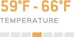 Temperature